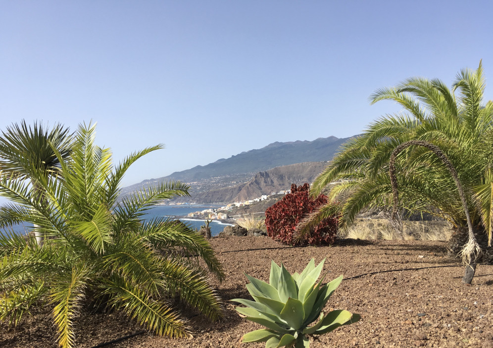 Bild von La Palma - La Isla Bonita